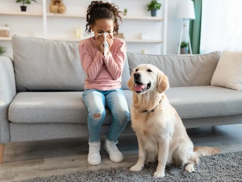 A young girl with allergies sneezing due to pet dander, emphasizing the need for professional air duct cleaning services.